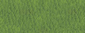 RENO VERDE ACIDO Цвет: Зелёный травяной