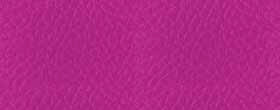 FUCSIA Цвет: Фуксия