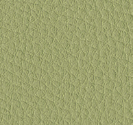 Зелёный травяной (код цвета в каталоге LAS: 511)