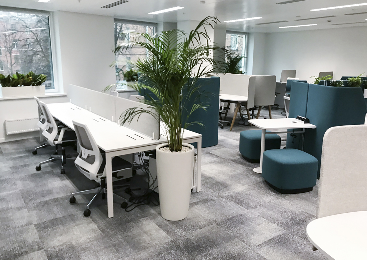 Входная зона и диван в коридоре