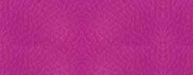 FUCSIA Цвет: Фуксия